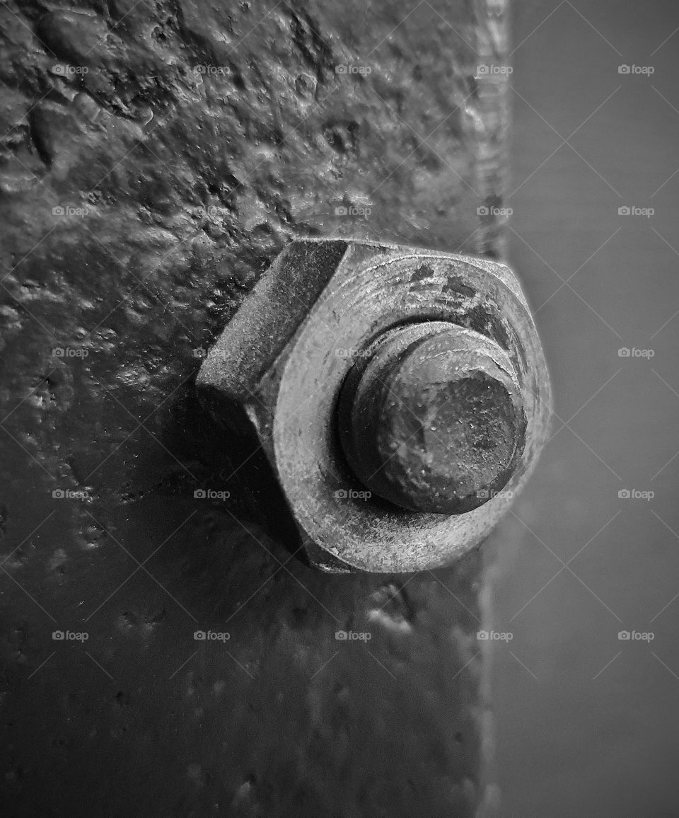 Single bolt nut in b/w
