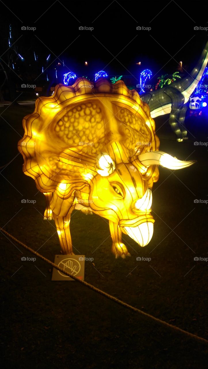 Chinese lantern Triceratops