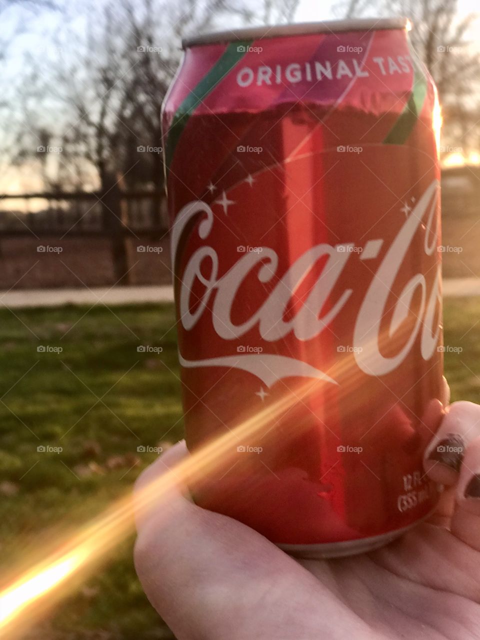 Coca Cola can and sunshine at the park 