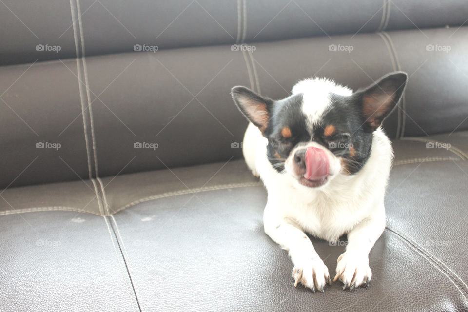 น้องมะลิ