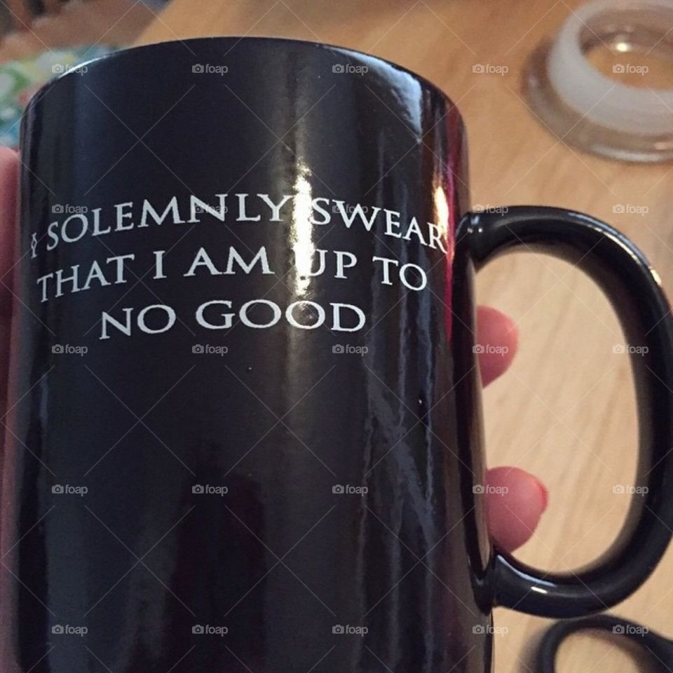 I just had to get this mug