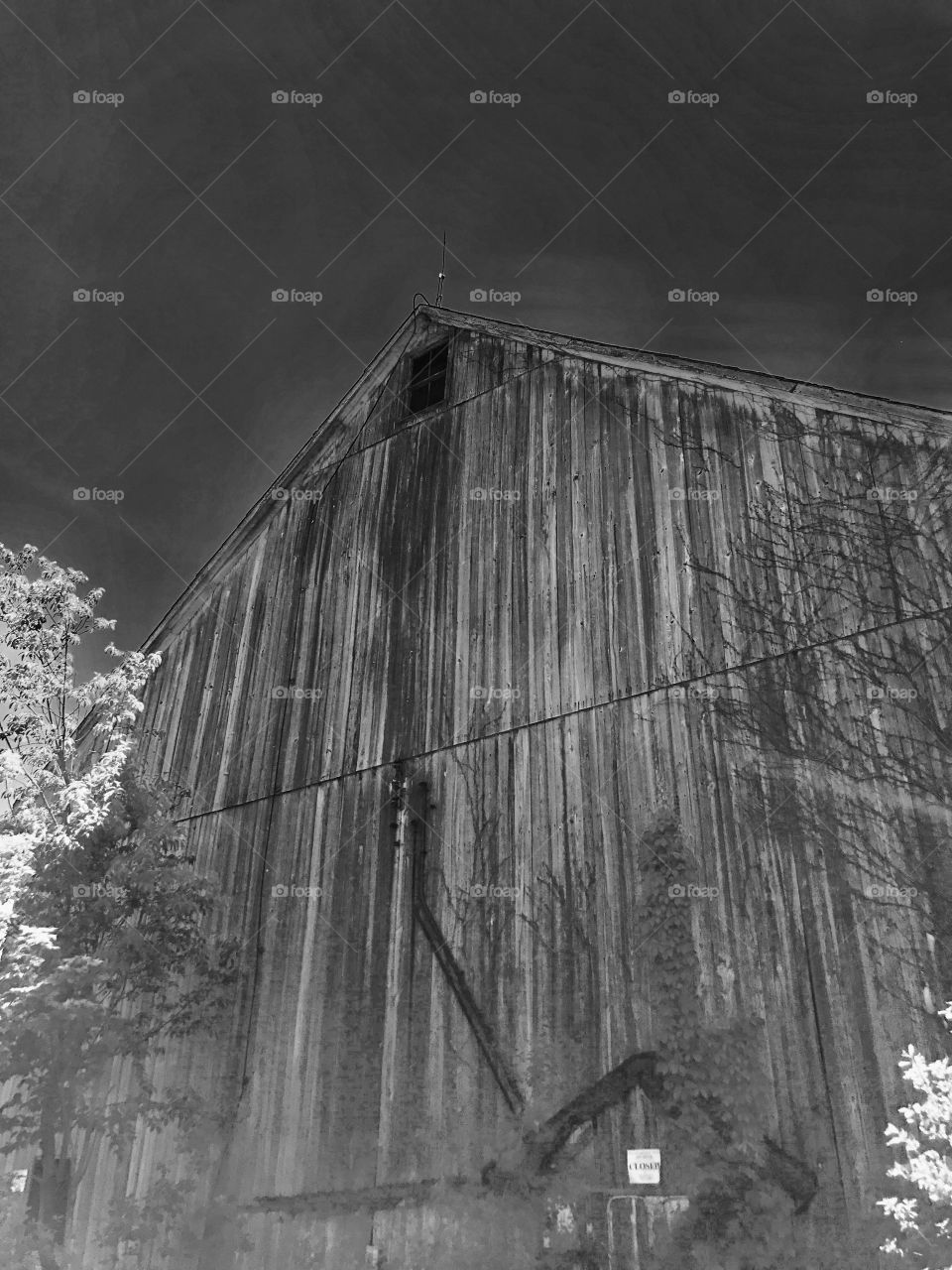 Barn 