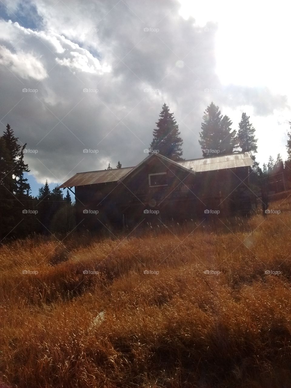 Brook Forest Livery in autumn