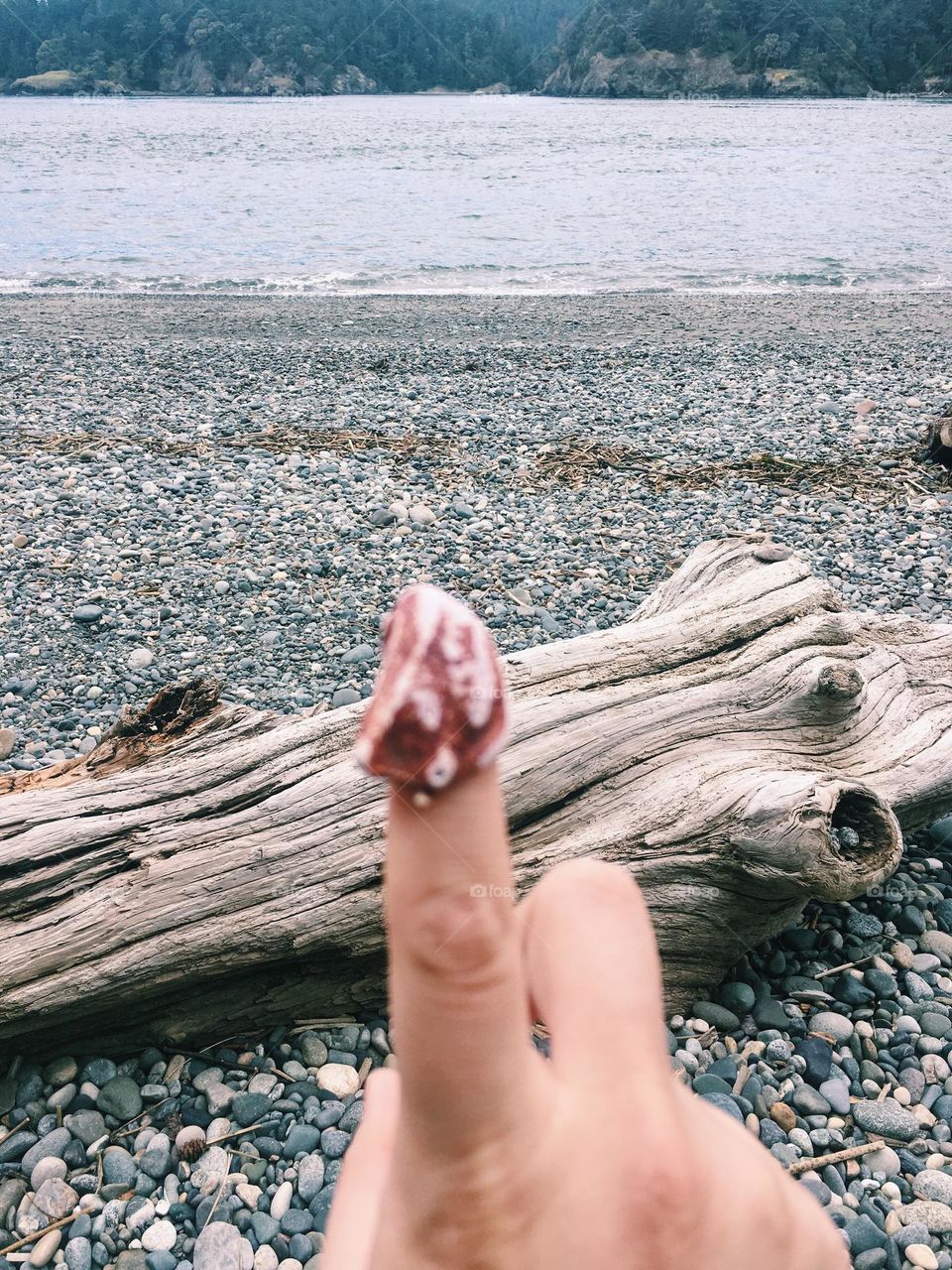 Hand holding pink shell on finger on Rocky beach 