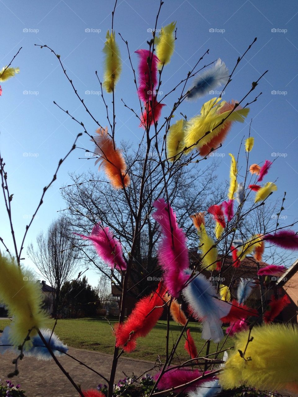 Easter feathers