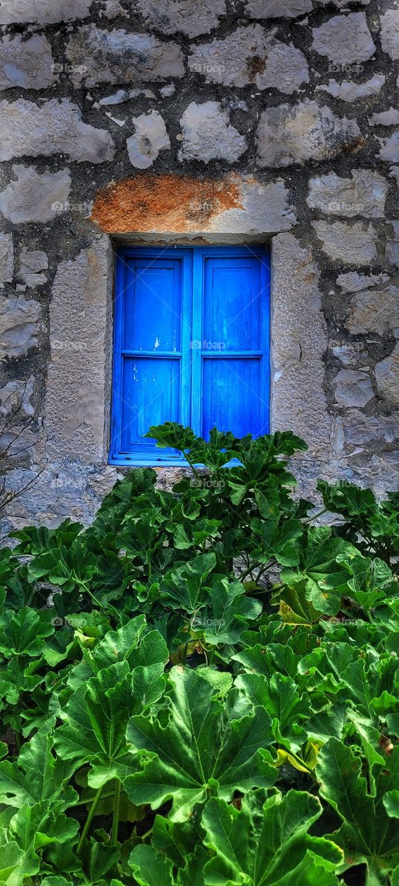 blue window