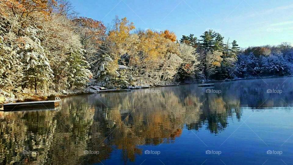 Trees and sky reflecting on lake