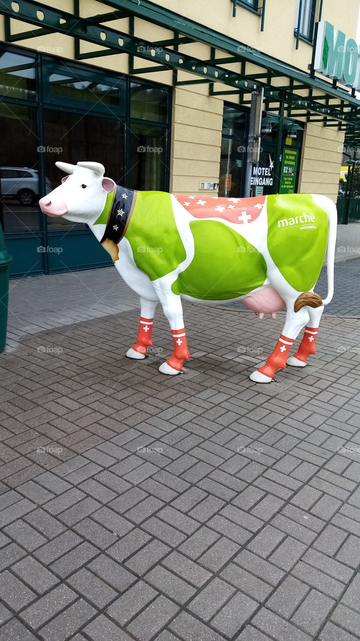 Cow