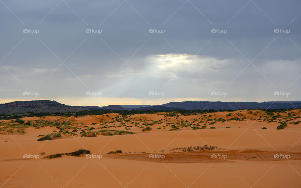 Cloudy desert 