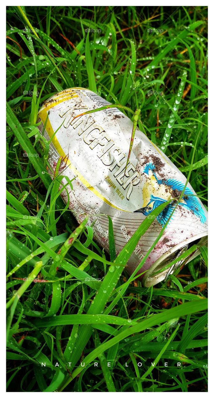 nature lover and nature lover morning vibes 😍 drink a Kingfisher