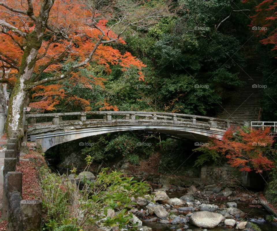 Beautiful bridge at Minoo Park