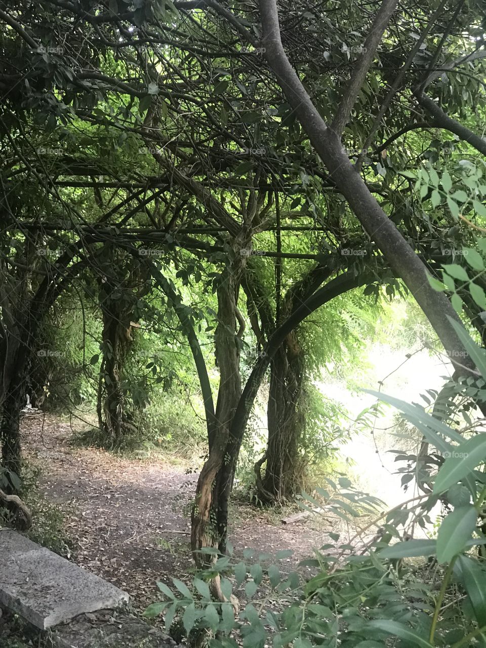 Санаторий Орджоникидзе 