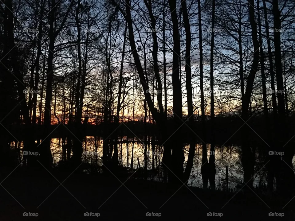Louisiana evening 