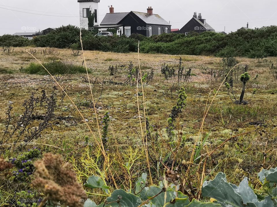 In the middle of nowhere