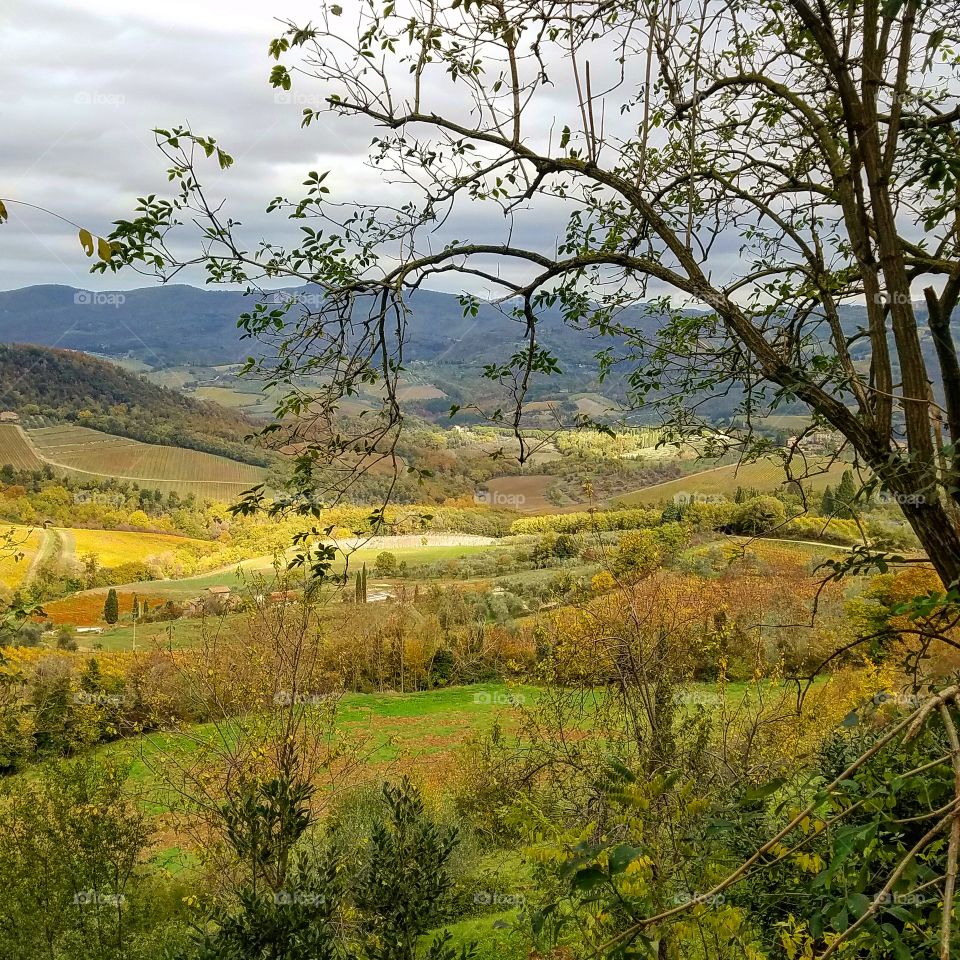 Tuscany