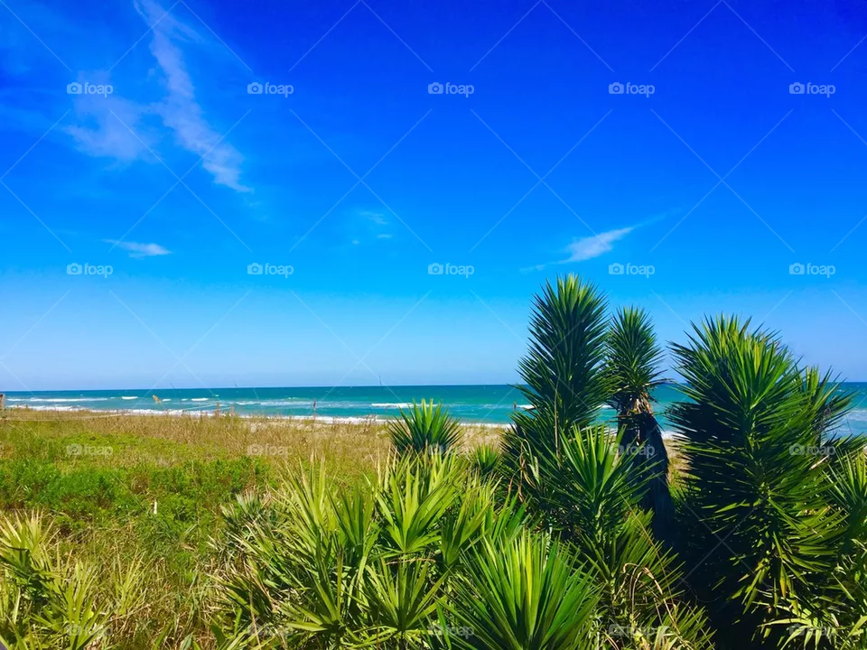 Beach