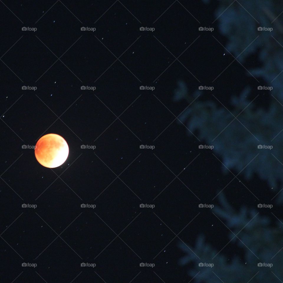 Blood Moon. Photo of The September Blood Moon in September 2015.