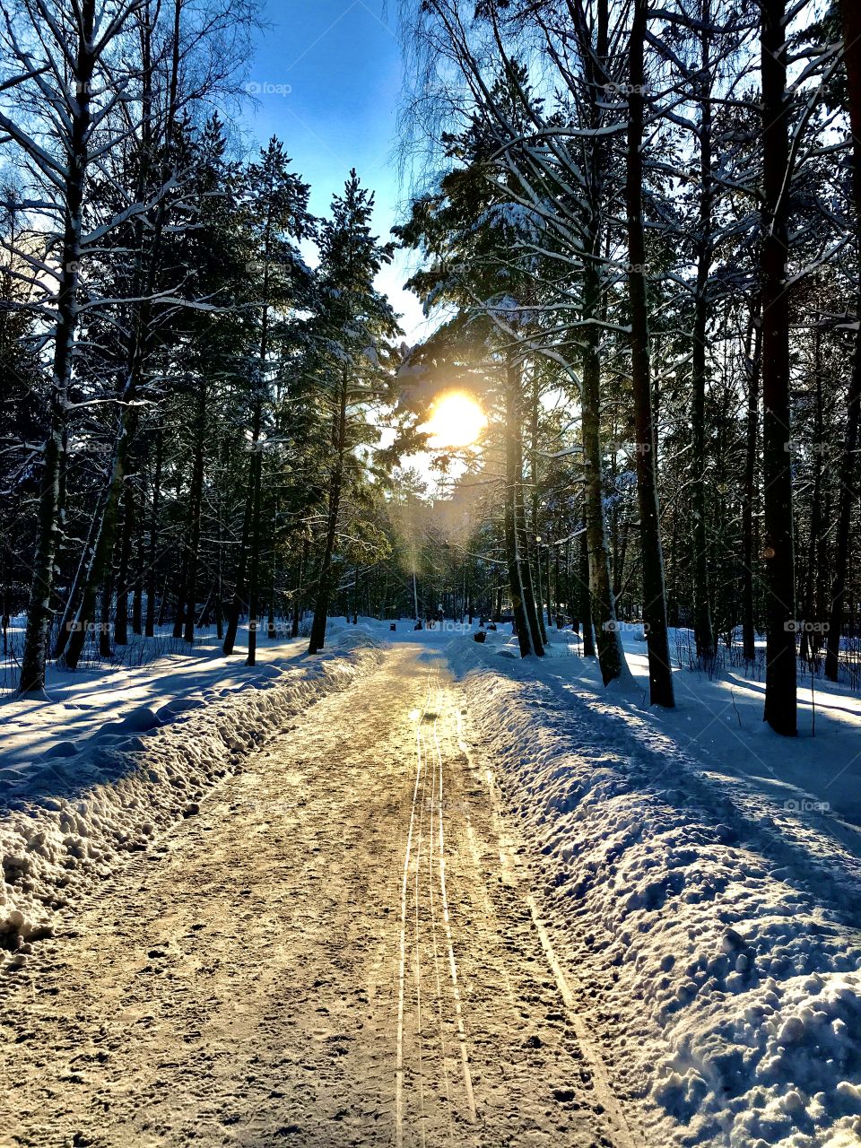 Beautiful winter day