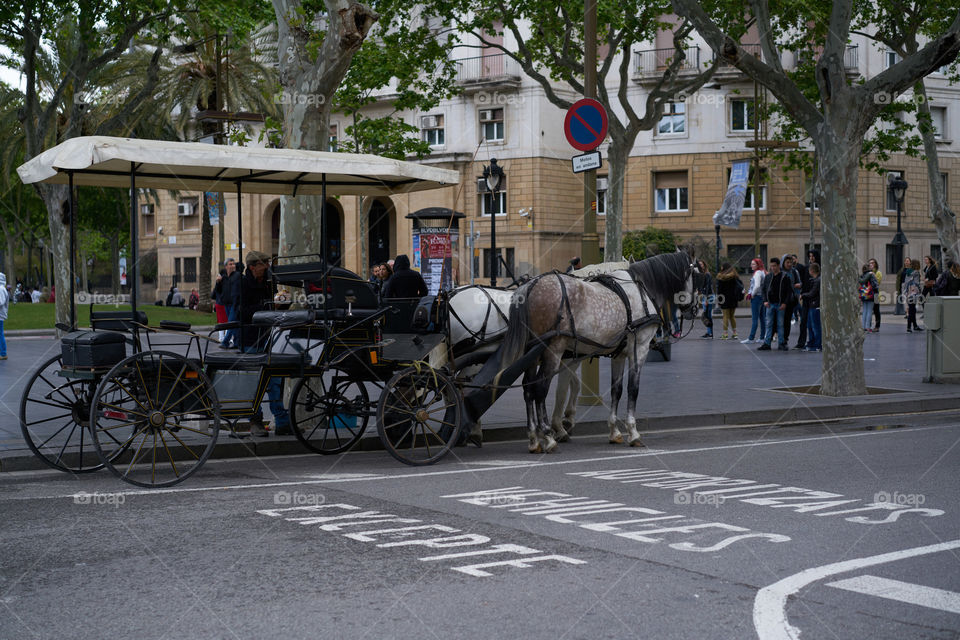 Waiting for tourists