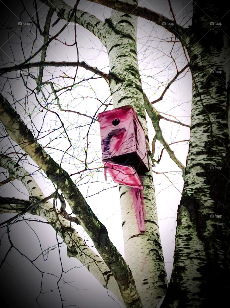 ...he even reddened with indignation...
...он даже...