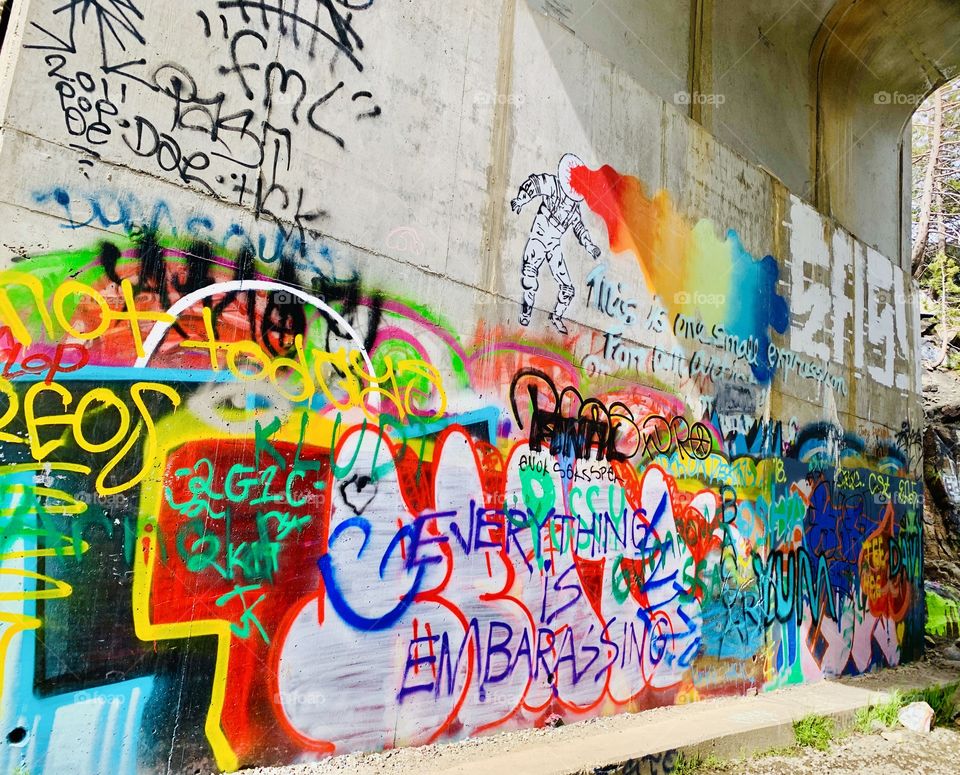 Graffiti train tunnel. Donner CA