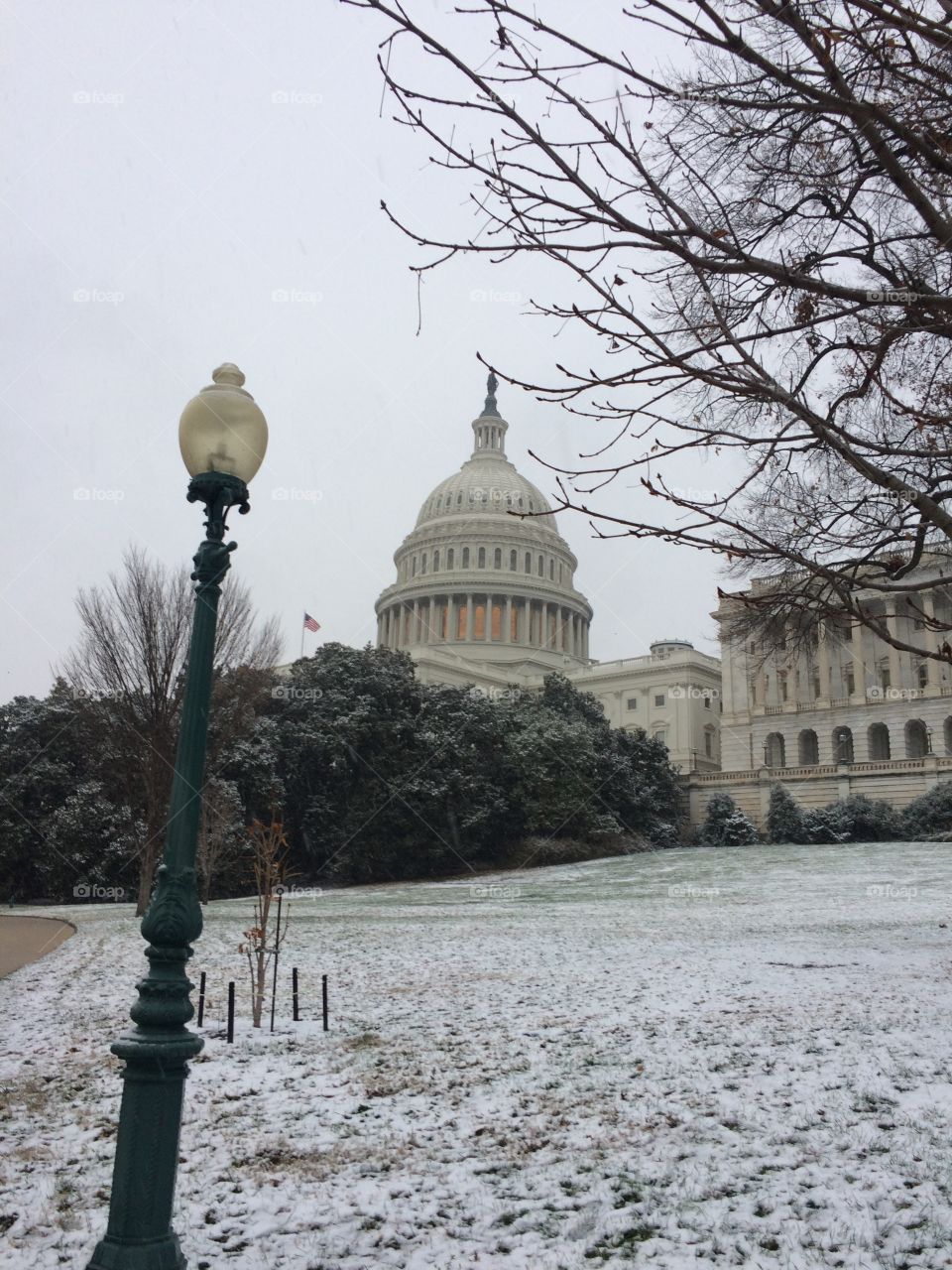 The first snow in DC only makes the Capitol look better.