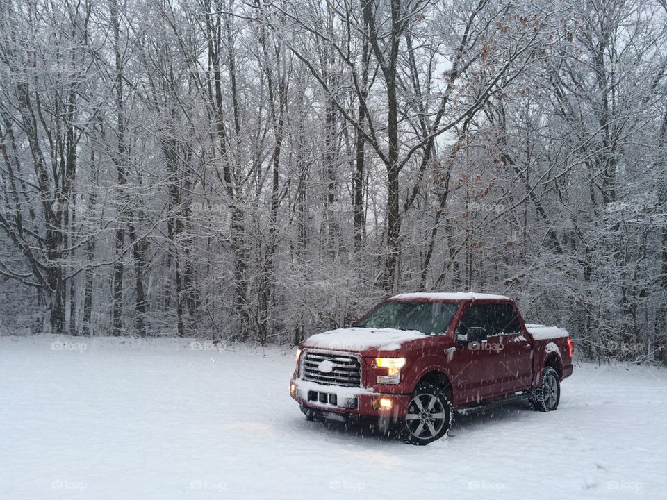 2015 Ford F-150 in the snowy woods