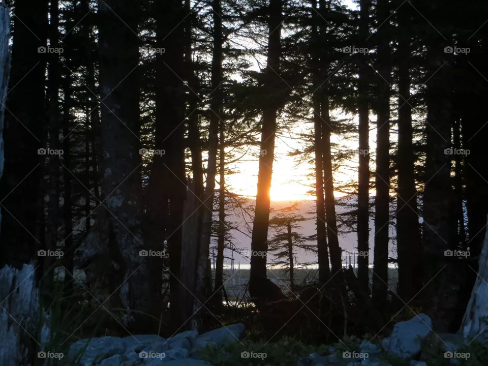 Alaska 