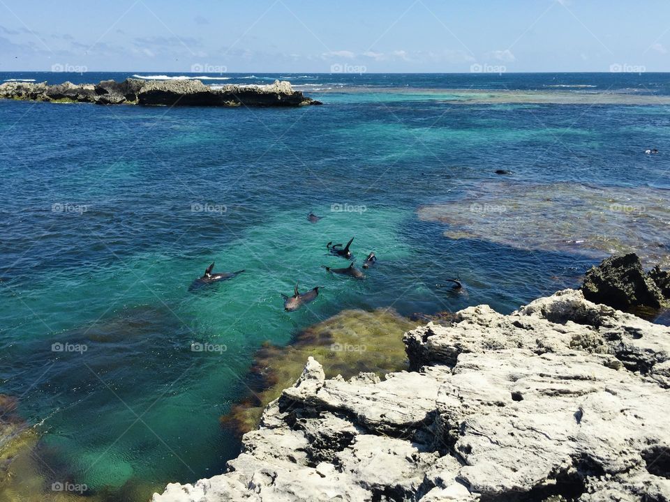 The sea is always a priority in my travels. Watching the seals swimming and frolicking is so much fun.