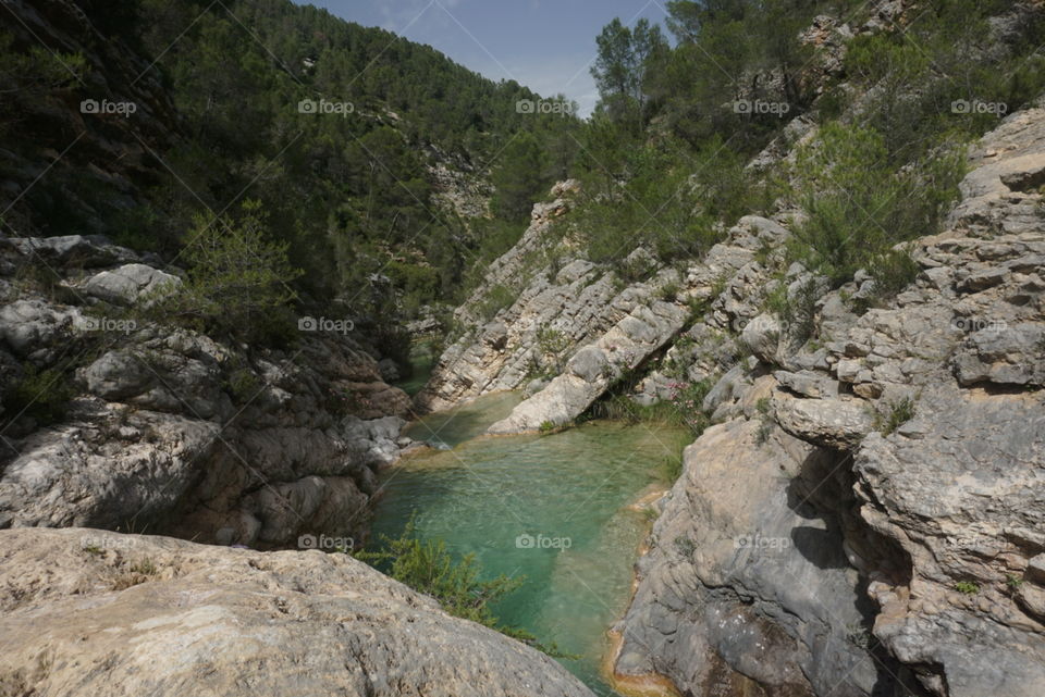 Nature#rocks#lake#water#trees#greengrass