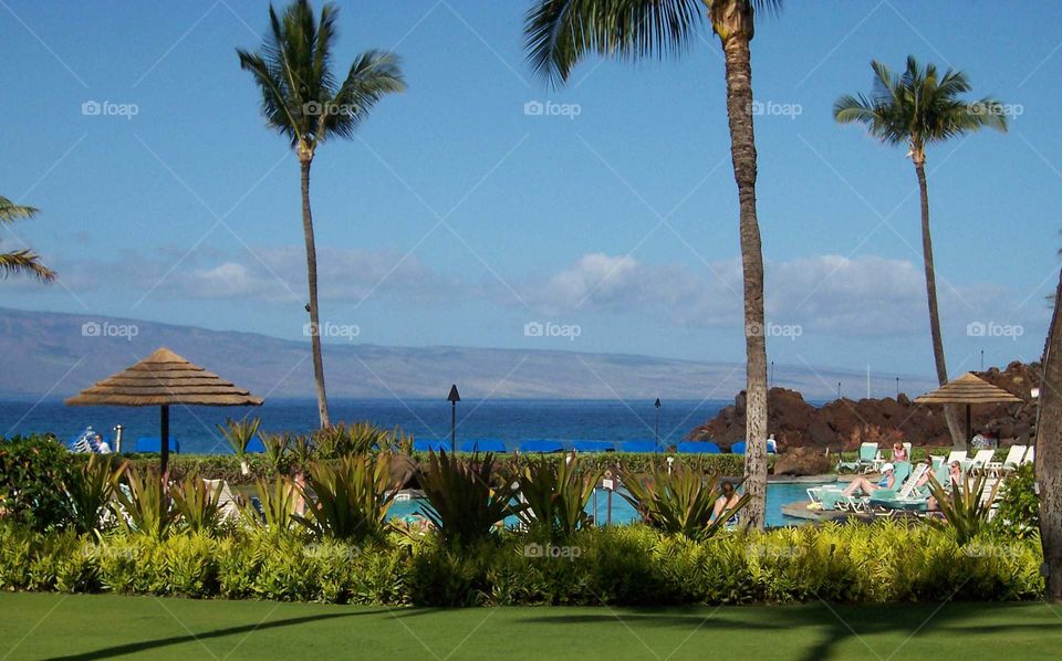 pool & ocean. royal lahaina