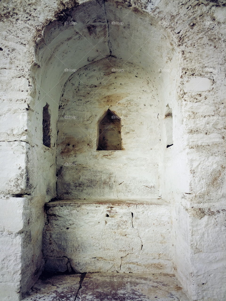 dear,eight plot,hol,dark,