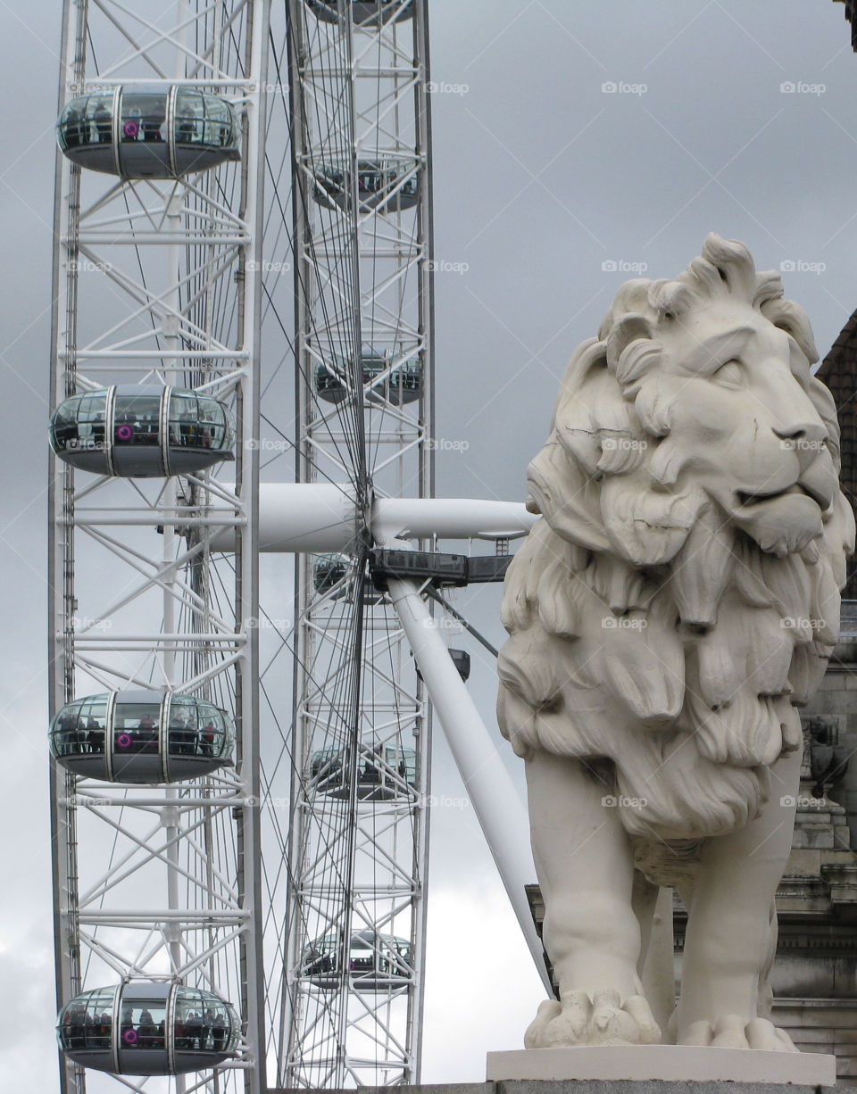 London eye lion