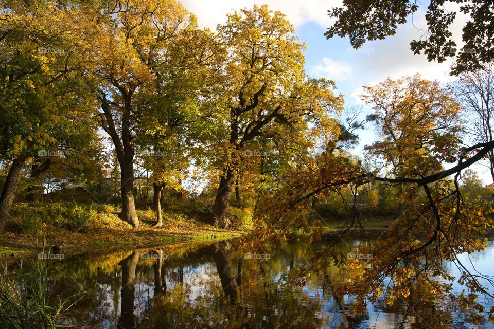 Lake in the park in autumn
