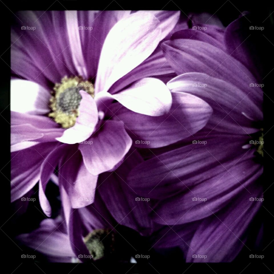 passion. experiments with lighting