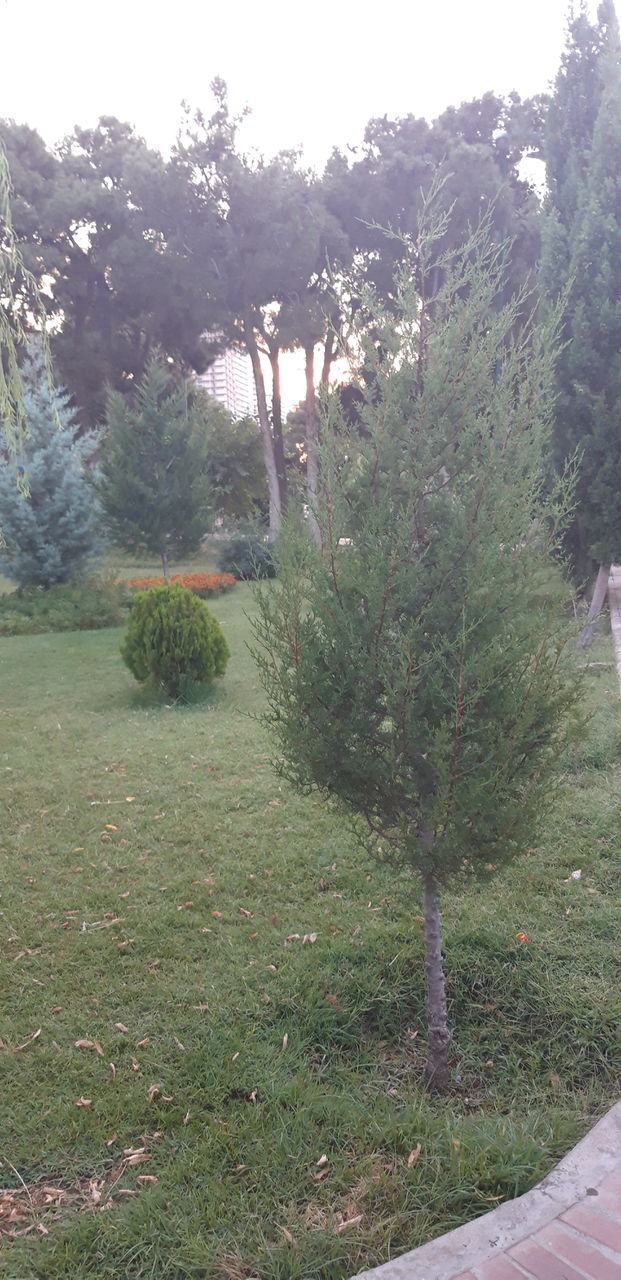 park