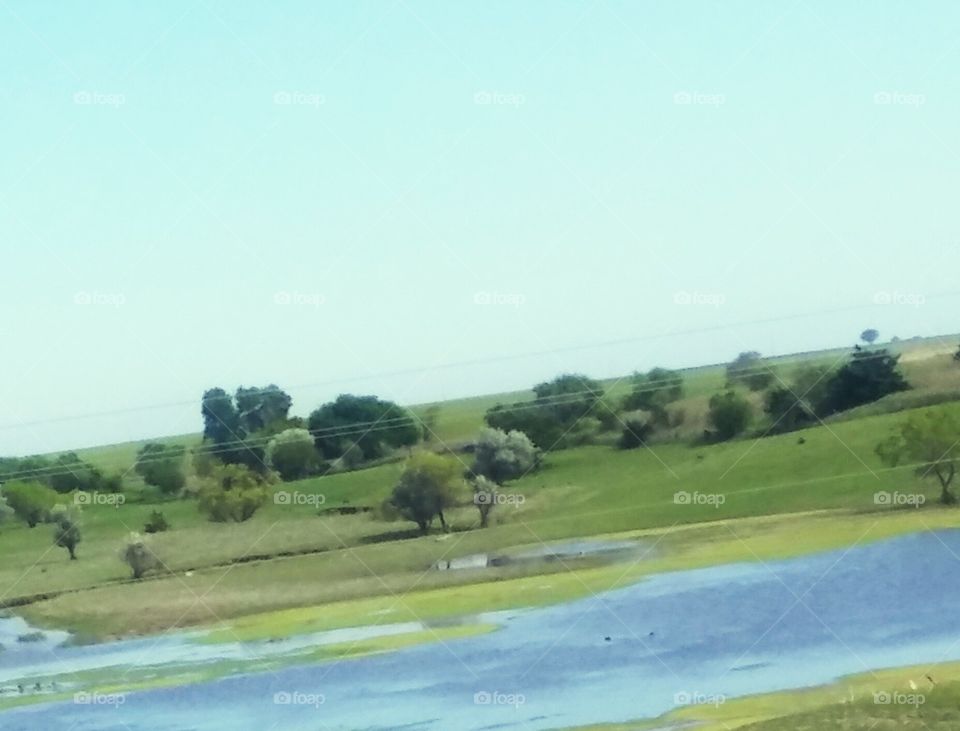 Landscape, Tree, Nature, No Person, Water