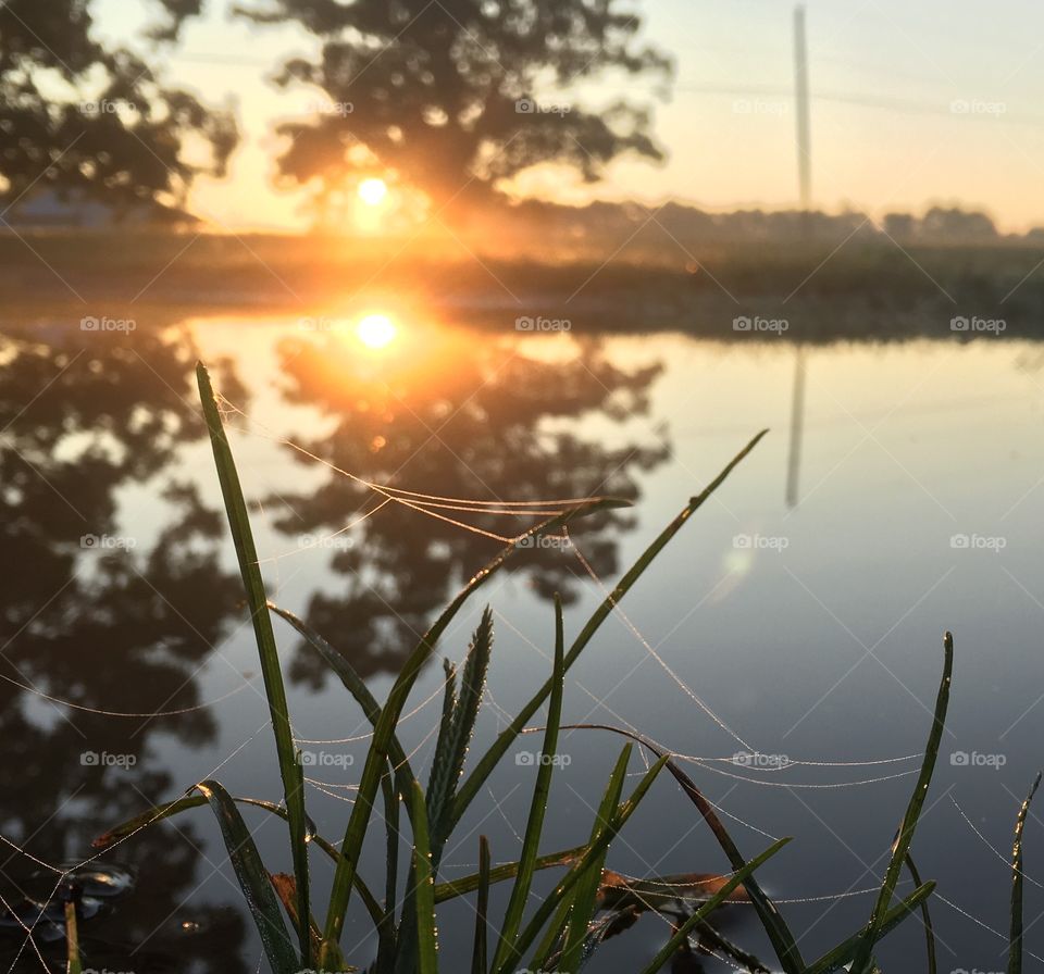 Sunrise over a puddle