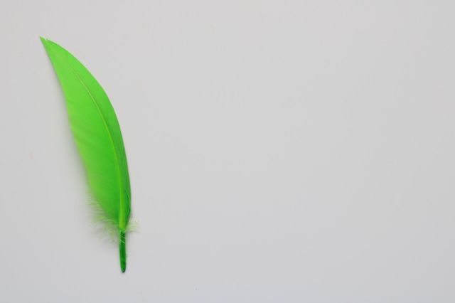 💚