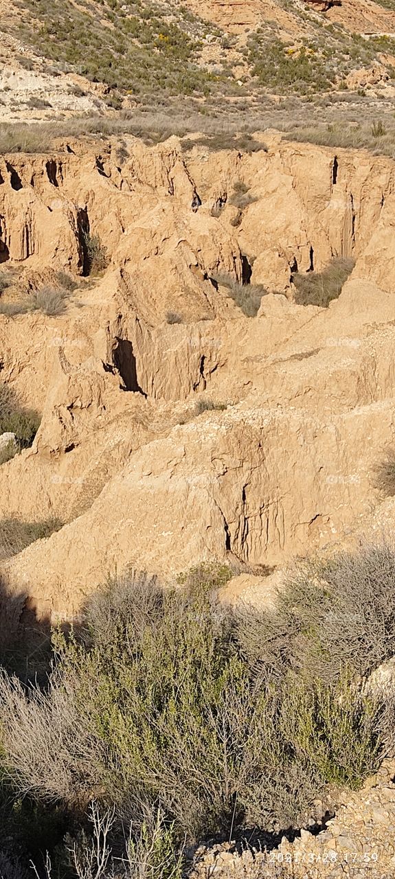 Barranco BardenasReales