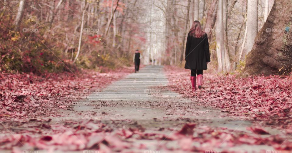 Rear view of a woman walking in autumn leaves