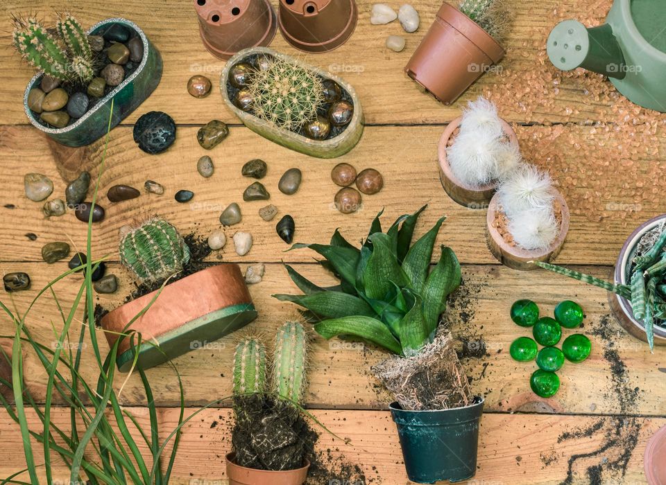 Flat lay of succulents and cactus being potted and decorated with polished stones and glass pebbles, into resin pots (that I made), on a wooden background 