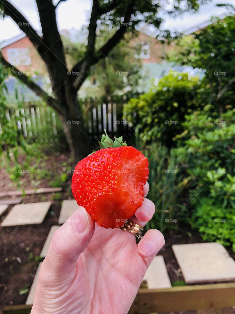 Who can’t resist this at summer time 👌