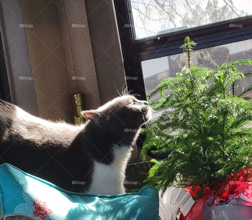 Loving the outdoors when you can't go out