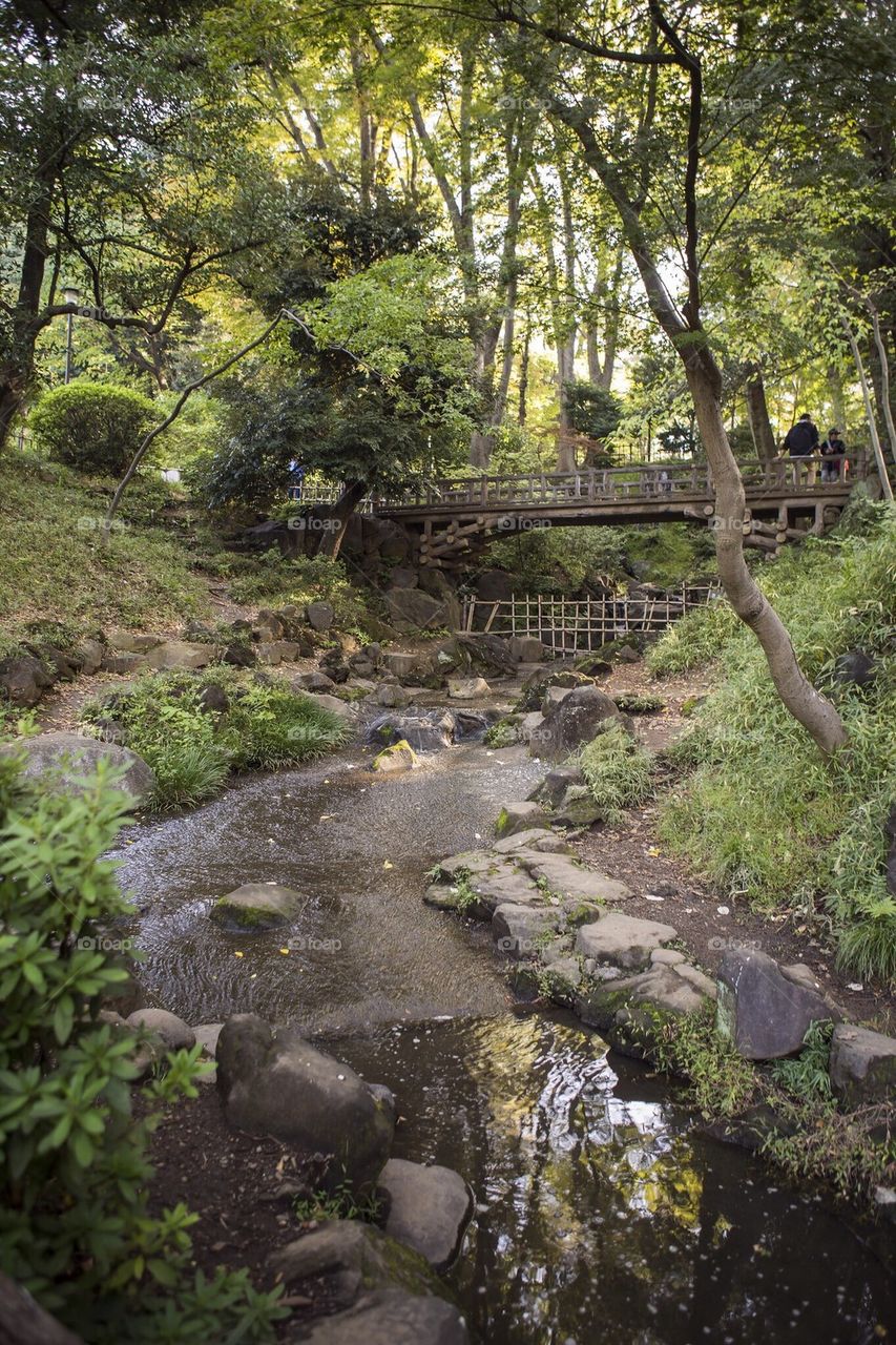 Creek and bridge 