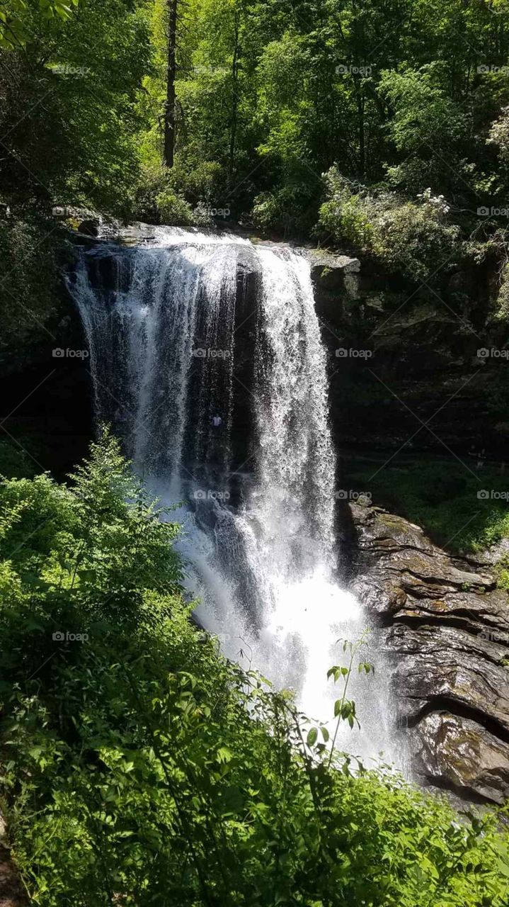 Western Carolina waterfall 