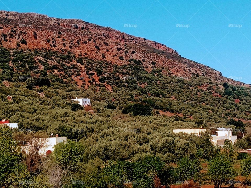 House's between the nature