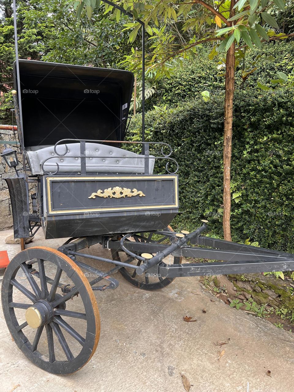 Old black carriage in countryside 