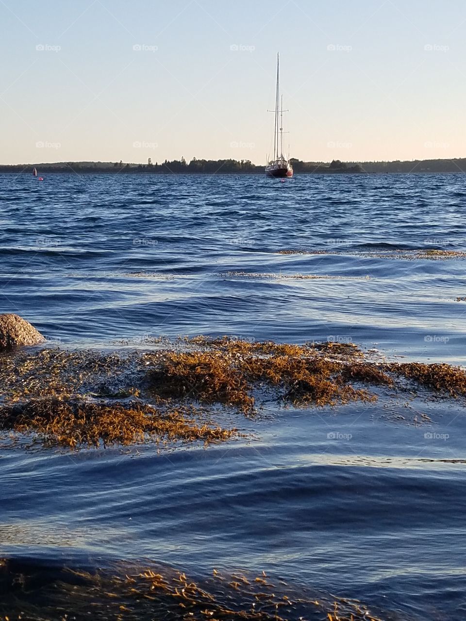 Water, Sea, Ocean, No Person, Beach