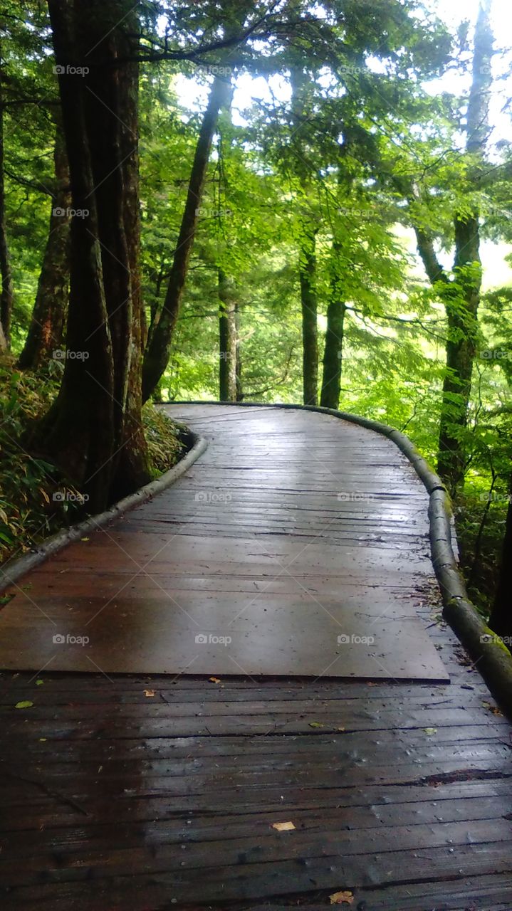 Beautiful walkway in Kamikochi